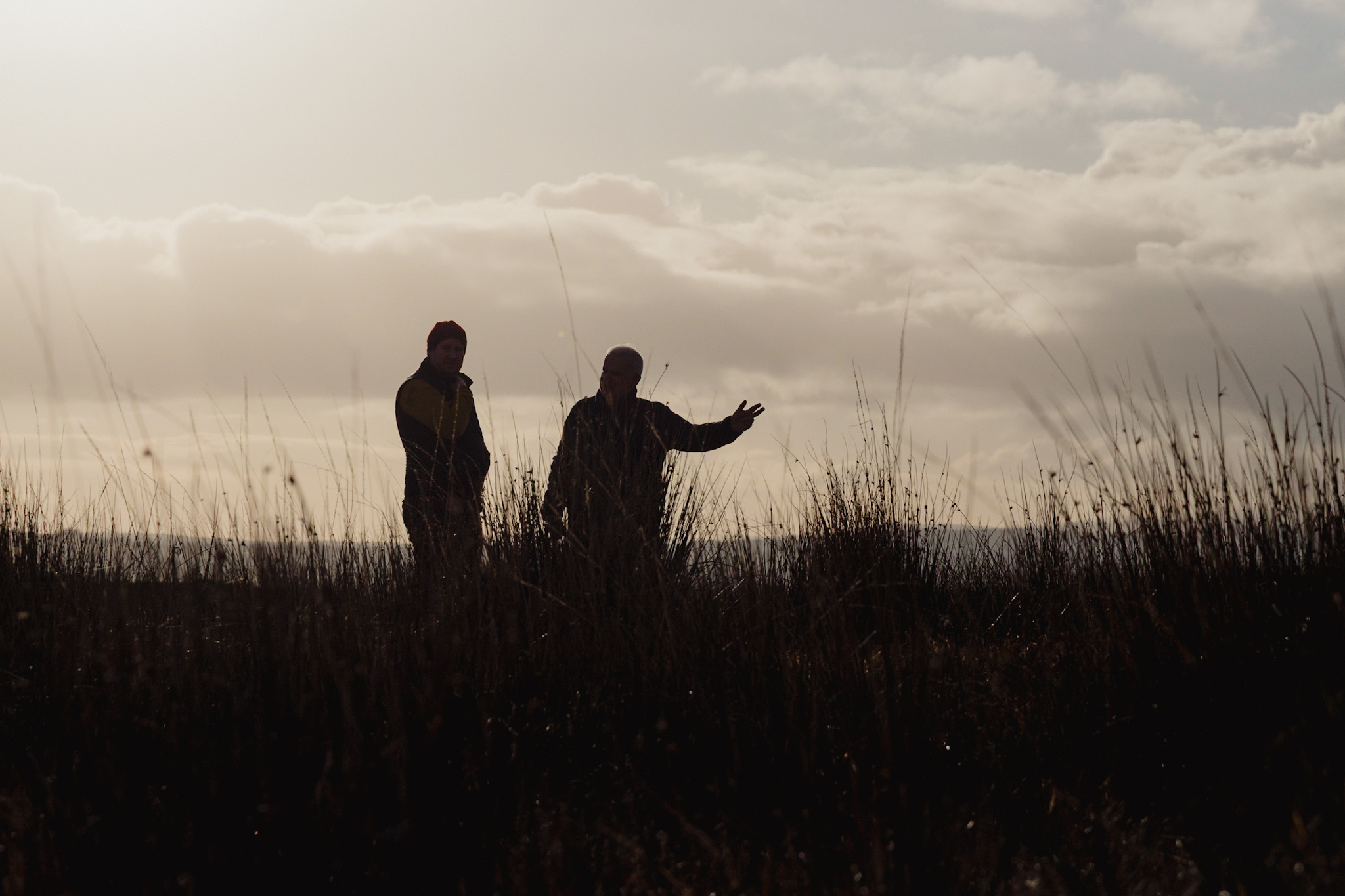 Composite Peat/Timber Dams — 3